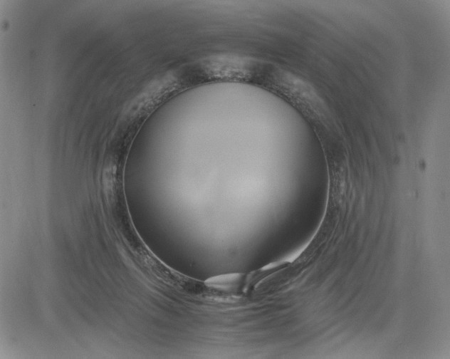 X0000083620263200702261001