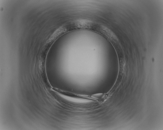 X0000083620266200702261001