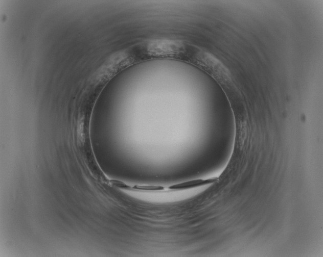 X0000083620267200702261001