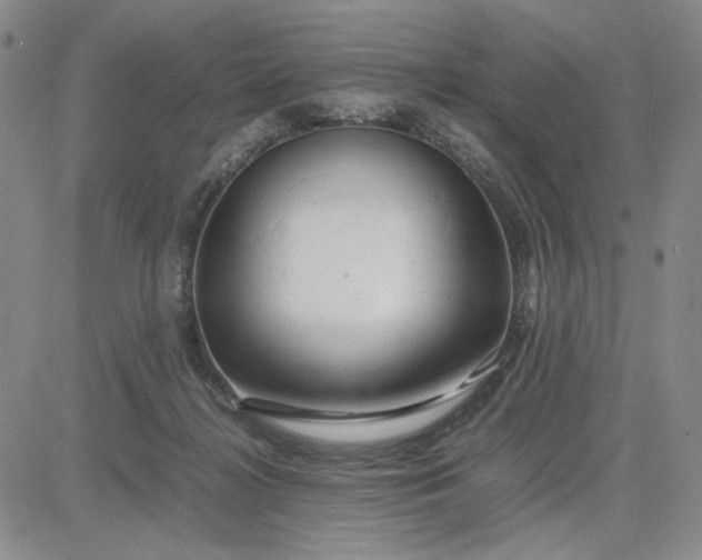 X0000083620268200702261001