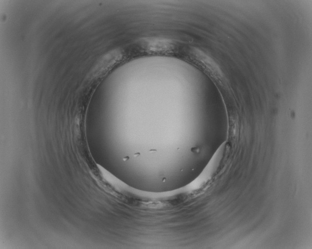 X0000083620269200702261001