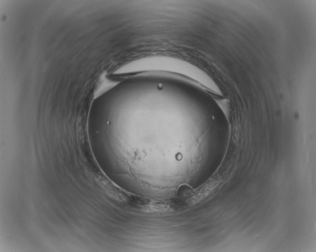 X0000083620270200702261001