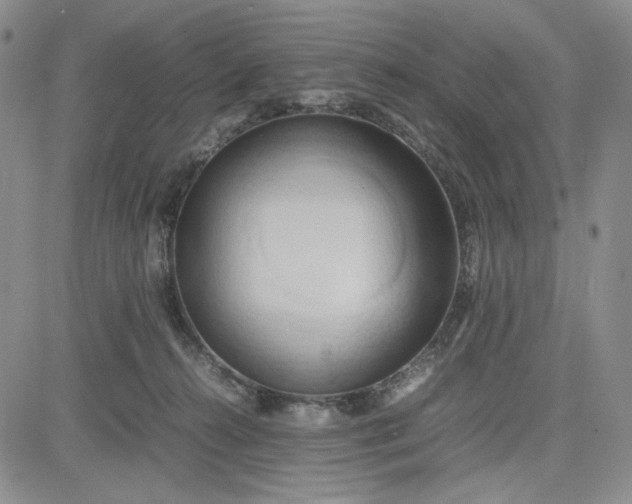 X0000083620272200702261001