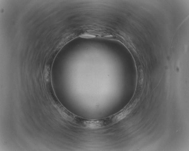 X0000083620273200702261001