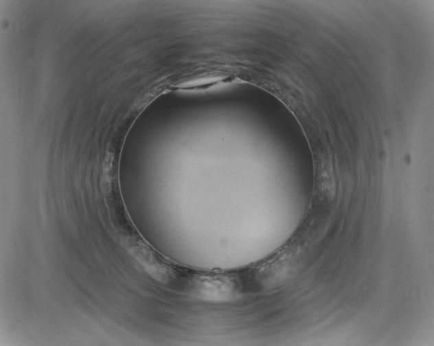 X0000083620275200702261001