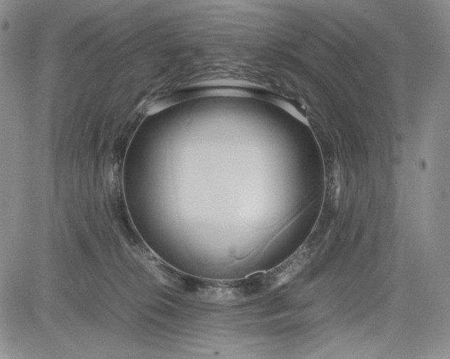 X0000083620276200702261001