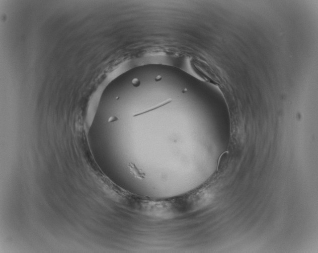 X0000083620277200702261001