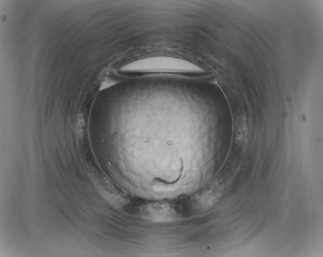 X0000083620279200702261001