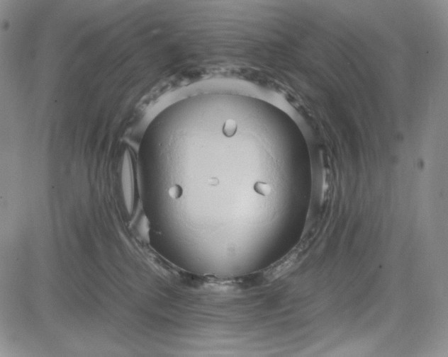 X0000083620280200702261001