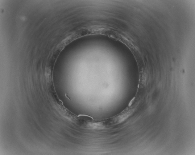 X0000083620283200702261001