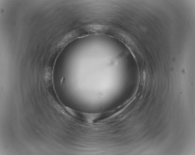 X0000083620284200702261001