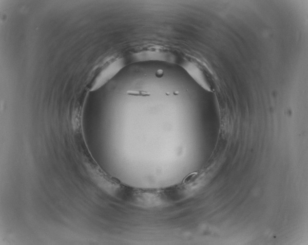 X0000083620285200702261001