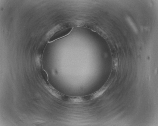 X0000083620286200702261001