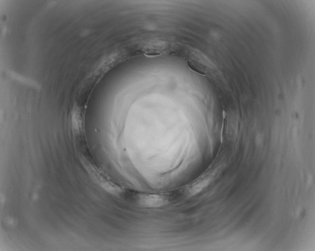 X0000083620287200702261001