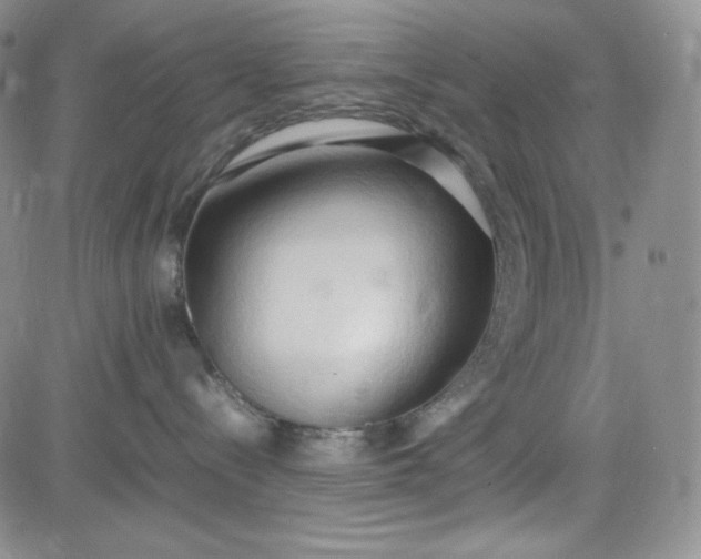 X0000083620288200702261001