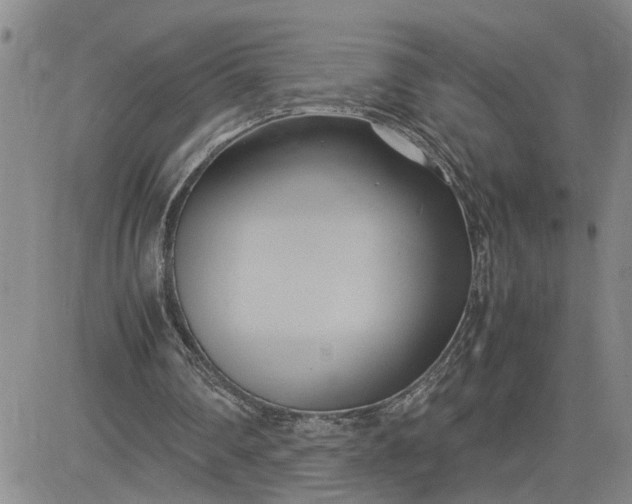 X0000083620290200702261000