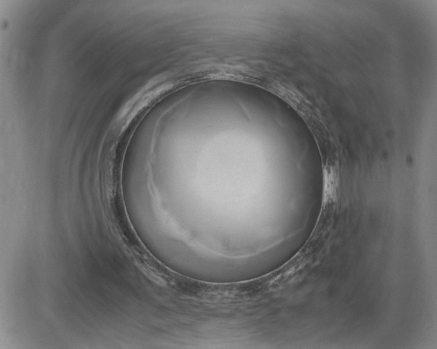 X0000083620291200702261000