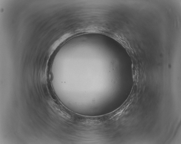 X0000083620292200702261000