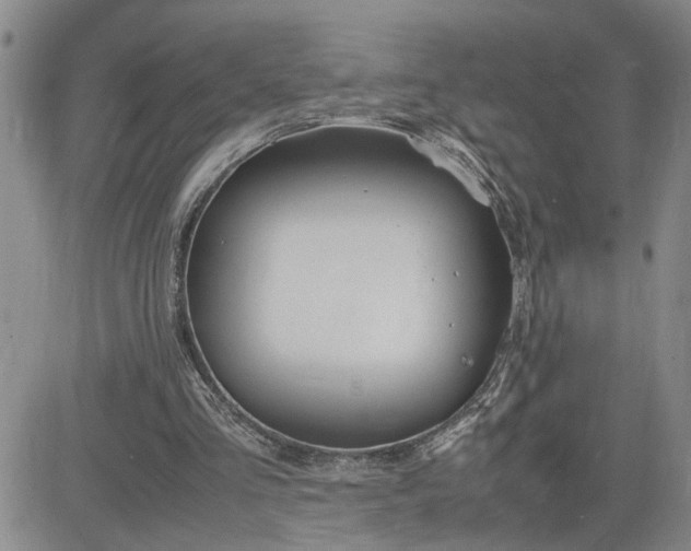 X0000083620293200702261000