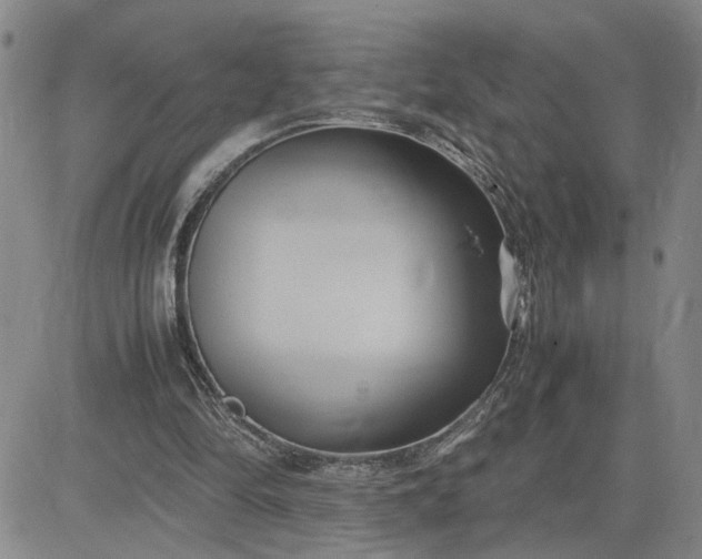 X0000083620294200702261000