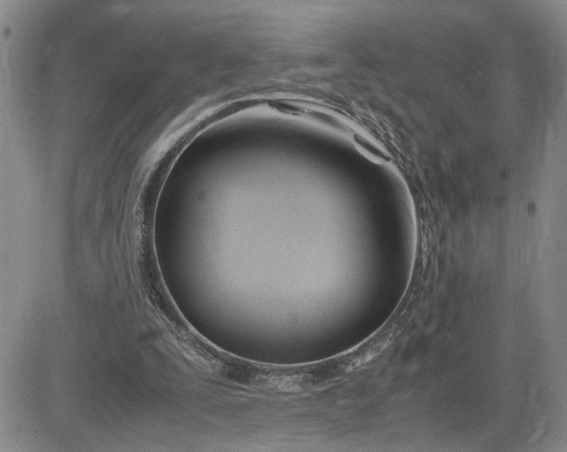 X0000083620295200702261000