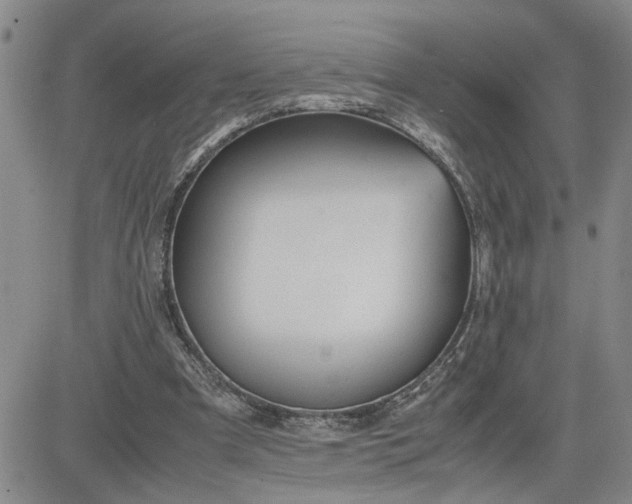 X0000083620297200702261000