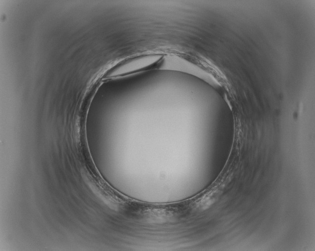 X0000083620298200702261000