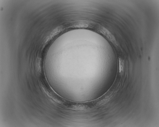 X0000083620300200702261000