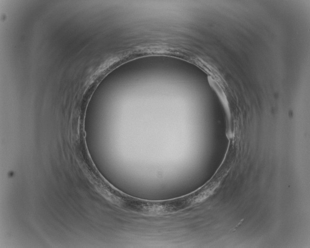 X0000083620301200702261000