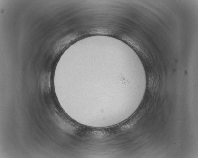 X0000083620302200702261000