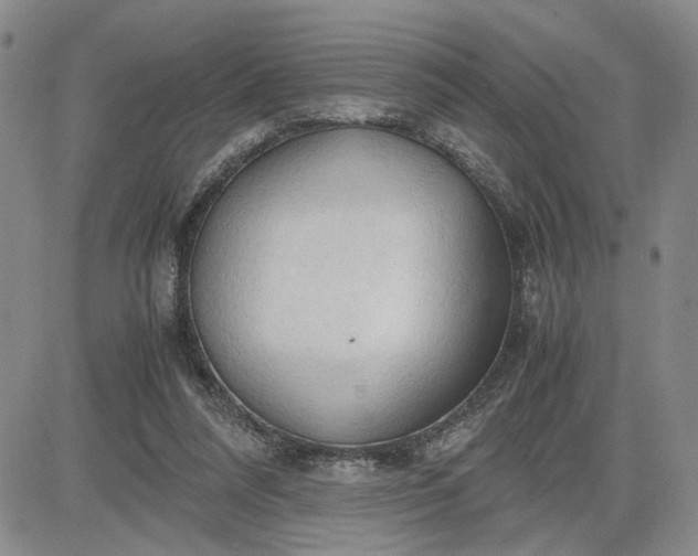 X0000083620304200702261000