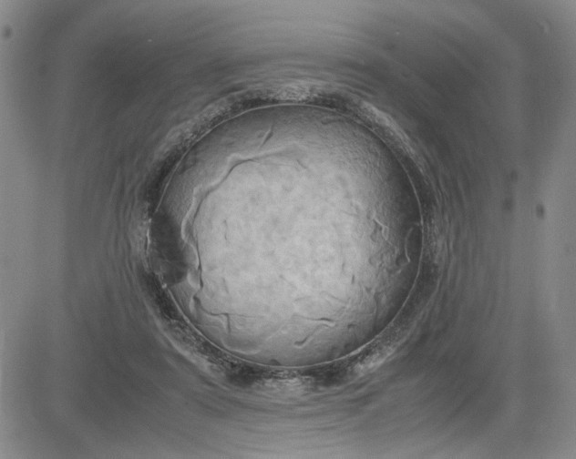 X0000083620307200702261000