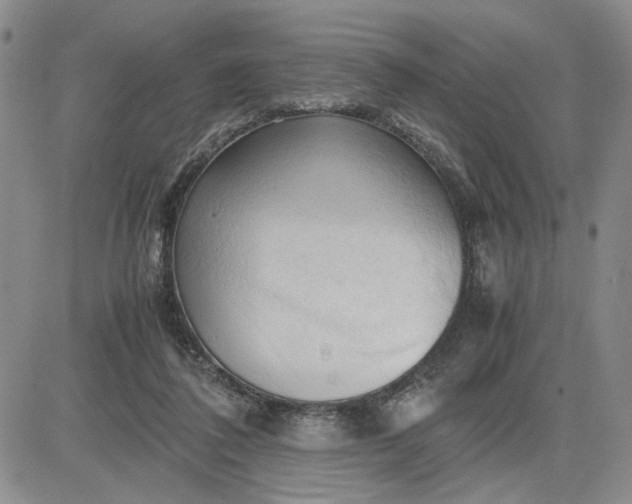 X0000083620308200702261000