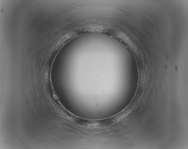 X0000083620309200702261000