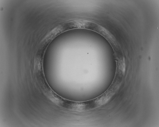 X0000083620313200702261000