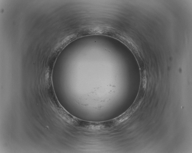 X0000083620314200702261000