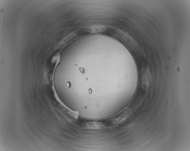 X0000083620316200702261000