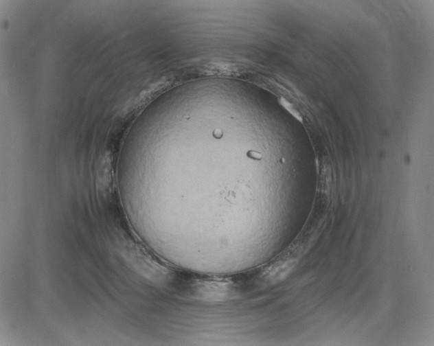 X0000083620318200702261000