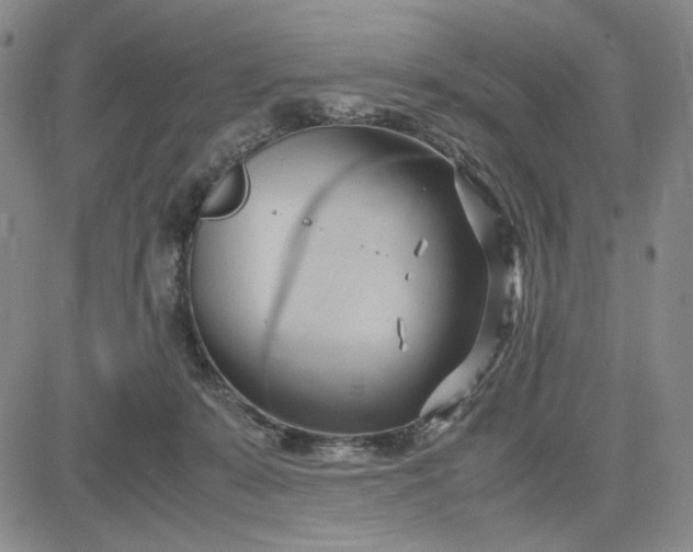 X0000083620319200702261000