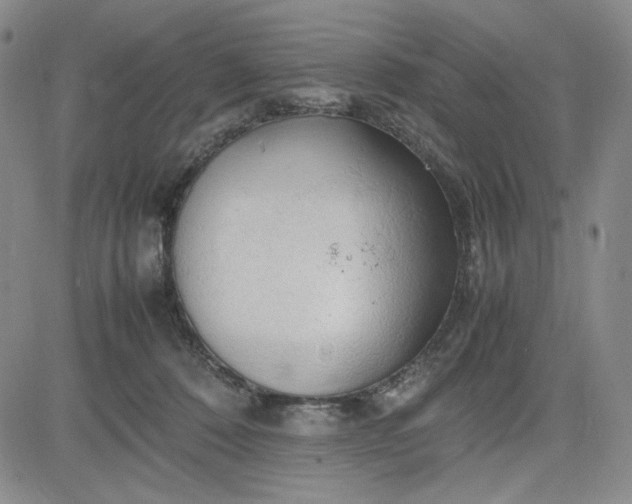 X0000083620320200702261000