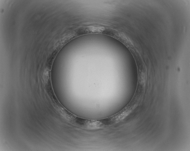 X0000083620321200702261000