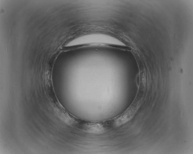 X0000083620322200702261000