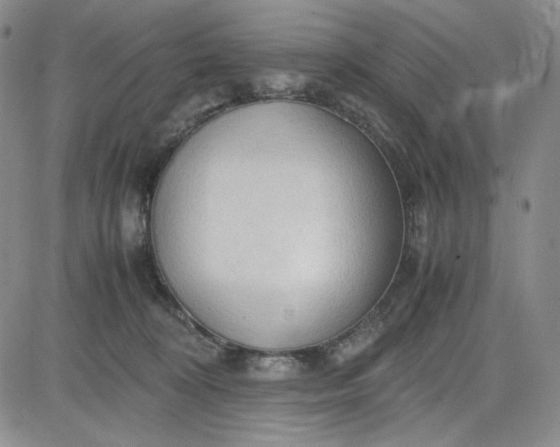 X0000083620324200702261000