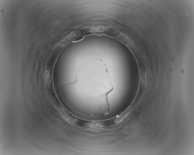 X0000083620327200702261000