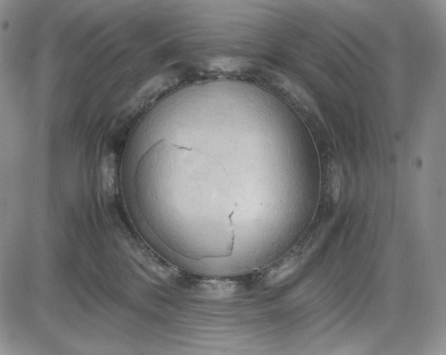 X0000083620328200702261000