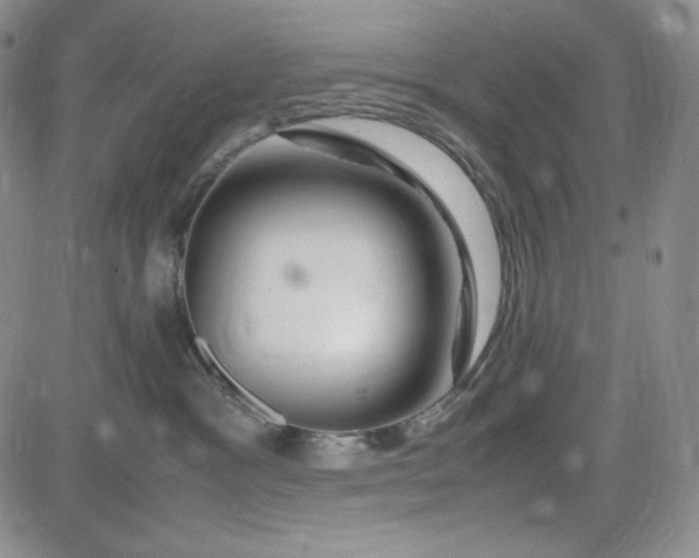 X0000083620333200702261000