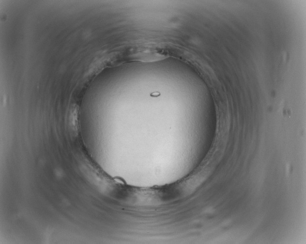 X0000083620336200702261000