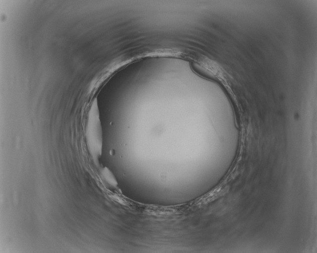 X0000083620337200702260959