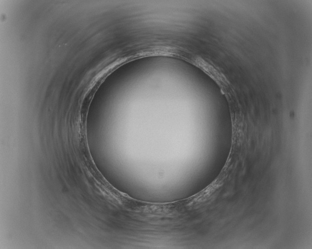 X0000083620338200702260959