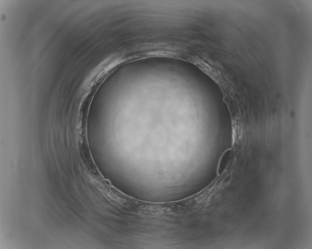 X0000083620339200702260959